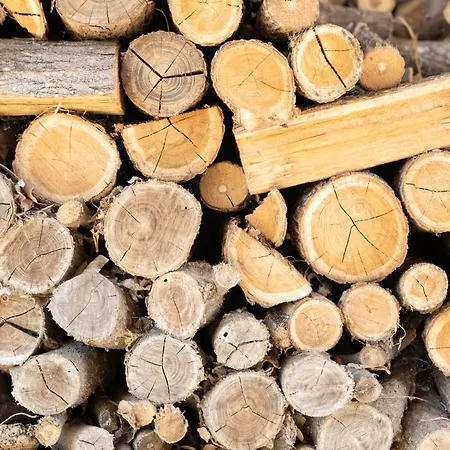 Casa vacanze Casa Il Nocciolo *