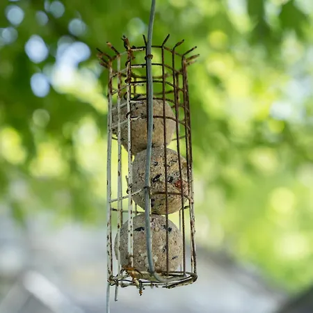 Casa vacanze Casa Il Nocciolo *