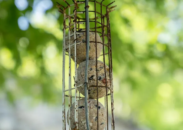 펜션 Casa Il Nocciolo *