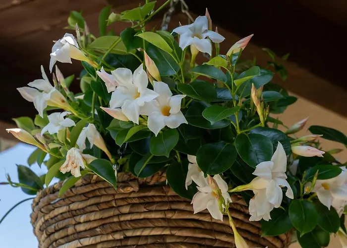 Σπίτι διακοπών Casa Il Nocciolo *